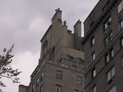 mannerist "temple" atop building on 5th ave.