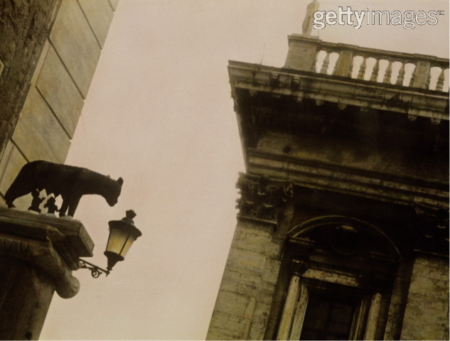 Copy of She-Wolf in-situ, Rome