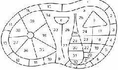 Roll 27 - 66