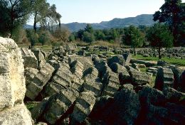 Fallen column drums from the peristyle  