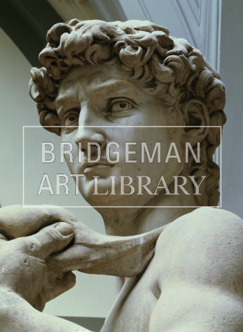 Michelangelo. David. Marble, 1501-4
