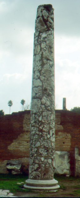 column reconstructed; roman forum