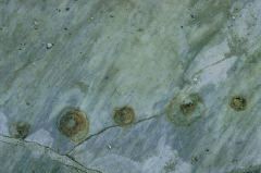 Traces of melted coins in the marble floor