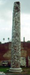 column reconstructed; roman forum